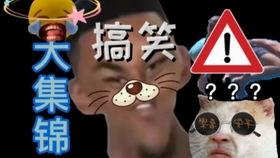 精选视频爆料大全免费,精选爆料大全免费放送  第1张