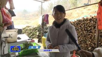 孝昌最新事件大爆料,真相与幕后黑幕全曝光 第3张 孝昌最新事件大爆料,真相与幕后黑幕全曝光 第3张